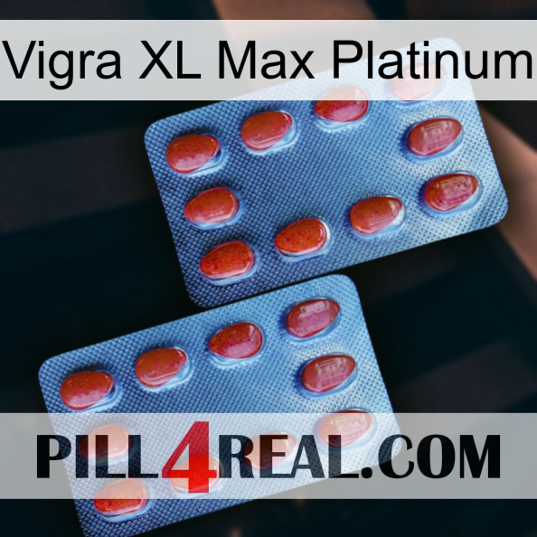 Vigra Xl Max Platinum 05.jpg